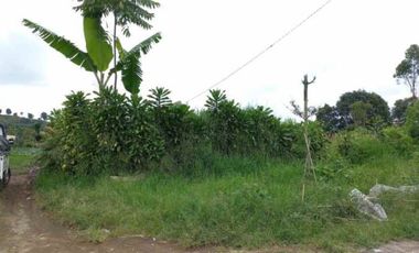 Tanah cocok villa cluster perkebunan di parongpong lembang