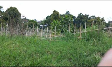 Tanah cocok villa cluster perkebunan di parongpong lembang