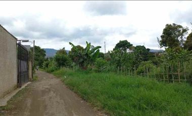 Tanah cocok villa cluster perkebunan di parongpong lembang