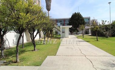 PALAS ATENEA: ESPACIOS PARA OFICINAS, SEGUROS, AMPLIOS, ILUMINADOS, AREAS JARDIN