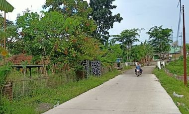 Tanah 5000 m Pinggir Jalan Aspal Dekat Safira Sepang