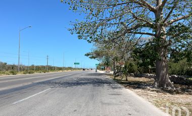 Terreno Merida- Progreso entrada Paraiso