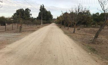 Sitio en Venta en AV CHICUREO KM 2,5