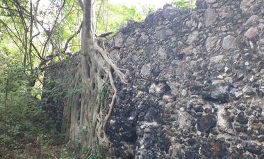 Rancho en Venta, 116 Has, casco de Hacienda, Ecoturismo.