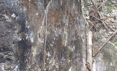 Rancho en Venta, 116 Has, casco de Hacienda, Ecoturismo.