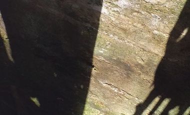 Rancho en Venta, 116 Has, casco de Hacienda, Ecoturismo.