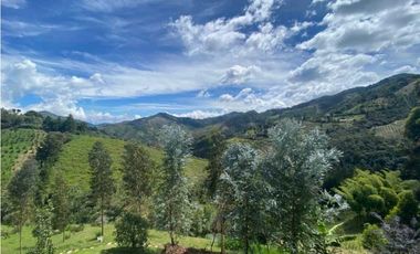 Finca en El Retiro 12.000 m² con casa y bosque de eucalipto