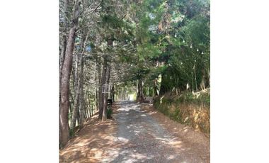 Finca en El Retiro 12.000 m² con casa y bosque de eucalipto