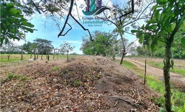 VENDO LOTE COMERCIAL DE 6417m2 DAVID
