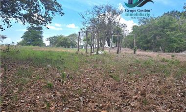 VENDO LOTE COMERCIAL DE 6417m2 DAVID