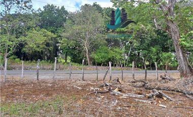 VENDO LOTE COMERCIAL DE 6417m2 DAVID
