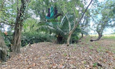 VENDO LOTE COMERCIAL DE 6417m2 DAVID