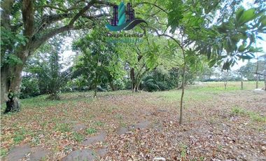 VENDO LOTE COMERCIAL DE 6417m2 DAVID