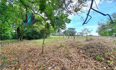 VENDO LOTE COMERCIAL DE 6417m2 DAVID