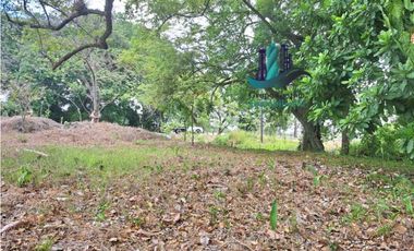 VENDO LOTE COMERCIAL DE 6417m2 DAVID