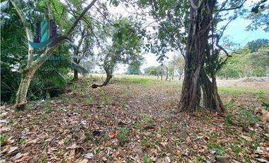 VENDO LOTE COMERCIAL DE 6417m2 DAVID