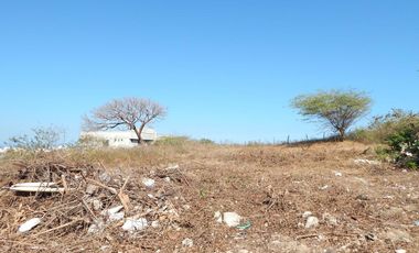 lote en venta en pradomar. Cod V84703