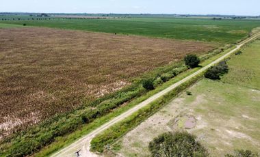 Campo ganadero - agricola - mixto- Galvez