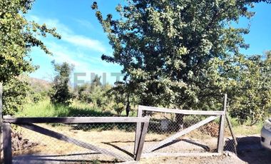 Gran oportunidad , Parcela 5.000 mts con plantacion paltos a pasos acceso sur