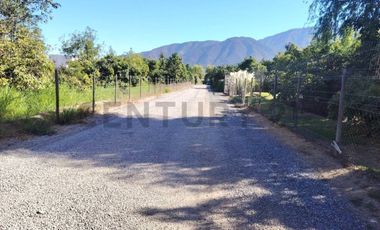 Gran oportunidad , Parcela 5.000 mts con plantacion paltos a pasos acceso sur