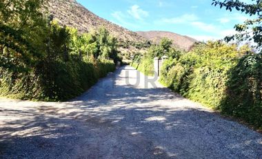 Gran oportunidad , Parcela 5.000 mts con plantacion paltos a pasos acceso sur
