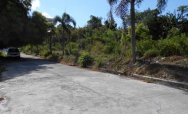Residential Lot for Sale in Brgy. Palocan West, Batangas