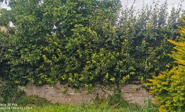 BOULOGNE SUR MER - VENTA DOS LOCALES CON UN DTO. FONDO En LOTE PROPIO - sobre Av. Rolón