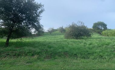 lote en venta en laguna seca. Cod V108299