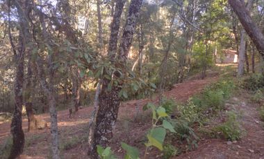 Bonito Terreno plano regular en zona de bosque de Mazamitla, jalisco.