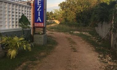 Own or Lease: 4,995 sqm Property in Panglao with 2 Studio Units | BOHOLANA REALTY