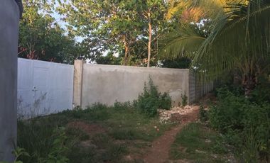 Own or Lease: 4,995 sqm Property in Panglao with 2 Studio Units | BOHOLANA REALTY