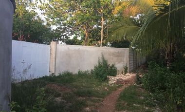 Own or Lease: 4,995 sqm Property in Panglao with 2 Studio Units | BOHOLANA REALTY