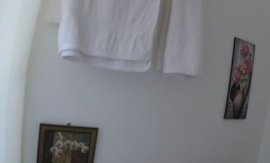 Own or Lease: 4,995 sqm Property in Panglao with 2 Studio Units | BOHOLANA REALTY