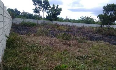 Own or Lease: 4,995 sqm Property in Panglao with 2 Studio Units | BOHOLANA REALTY