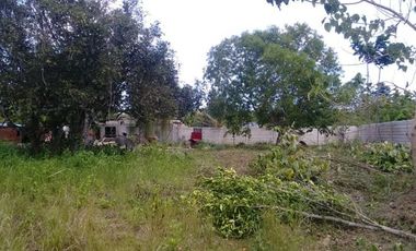 Own or Lease: 4,995 sqm Property in Panglao with 2 Studio Units | BOHOLANA REALTY