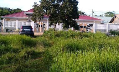 Own or Lease: 4,995 sqm Property in Panglao with 2 Studio Units | BOHOLANA REALTY