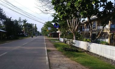 Own or Lease: 4,995 sqm Property in Panglao with 2 Studio Units | BOHOLANA REALTY