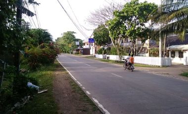 Own or Lease: 4,995 sqm Property in Panglao with 2 Studio Units | BOHOLANA REALTY