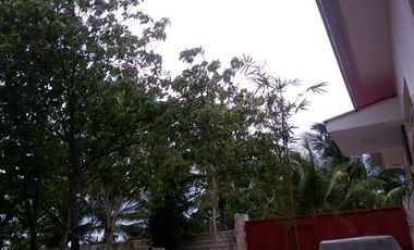 Own or Lease: 4,995 sqm Property in Panglao with 2 Studio Units | BOHOLANA REALTY