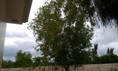 Own or Lease: 4,995 sqm Property in Panglao with 2 Studio Units | BOHOLANA REALTY