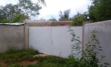 Own or Lease: 4,995 sqm Property in Panglao with 2 Studio Units | BOHOLANA REALTY