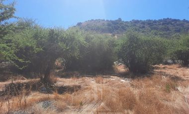 Parcela en Venta en Hacienda de Zapallar