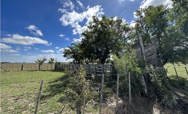Campo en venta en Magdalena. 450 Has mixto