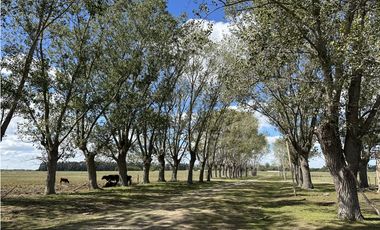 Campo en venta en Magdalena. 450 Has mixto