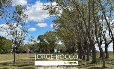 Campo en venta en Magdalena. 450 Has mixto