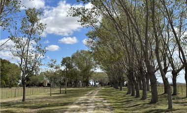 Campo en venta en Magdalena. 450 Has mixto