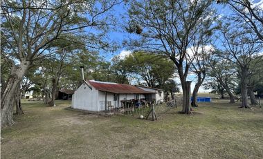 Campo en venta en Magdalena. 450 Has mixto