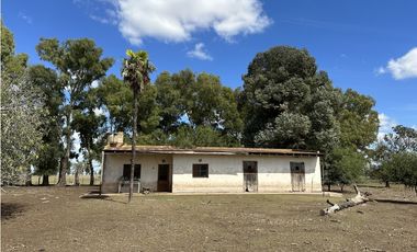 Campo en venta en Magdalena. 450 Has mixto