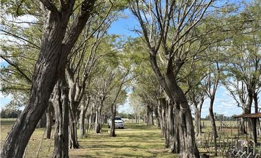 Campo en venta en Magdalena. 450 Has mixto