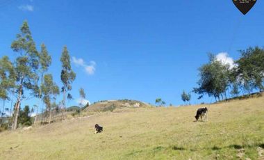 Terreno de venta en Victoria del Portete - Tarqui – código:14470